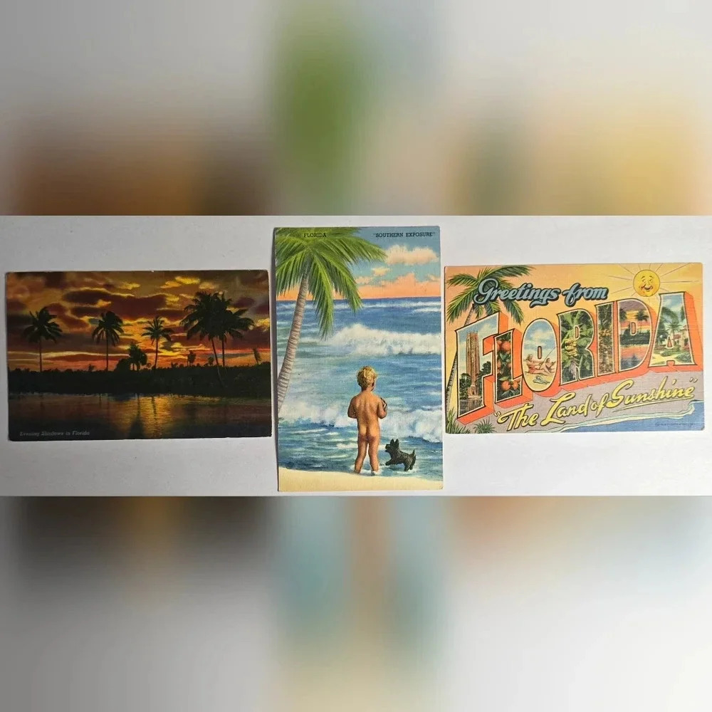Lot of 3 Fabulous Vintage FLORIDA Postcards
